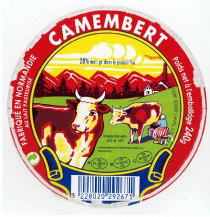 Camembert 45% MG 240g