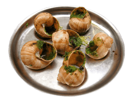 Escargots de Bourgogne frais Barquette de 36