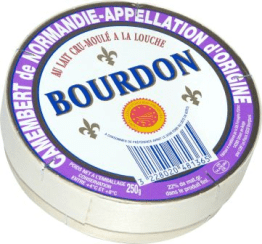 Camembert 45% MG 250g Bourdon