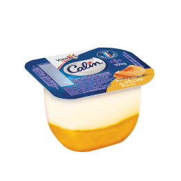 fromage blanc sur fruits 20% MG 100g Calin